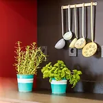 Einsmehr 3* Augsburg