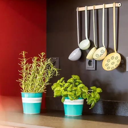 Einsmehr 3* Augsburg